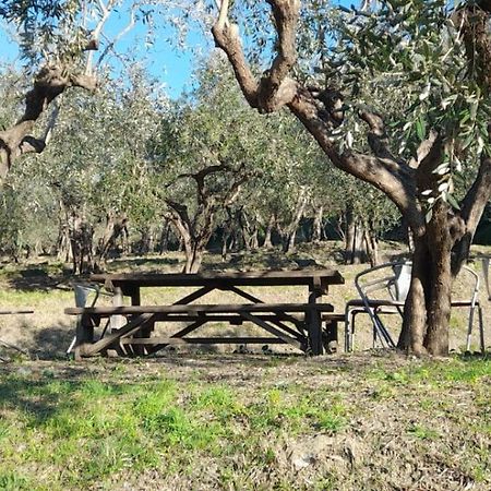 Agriturismo Cele Celle Ligure Extérieur photo