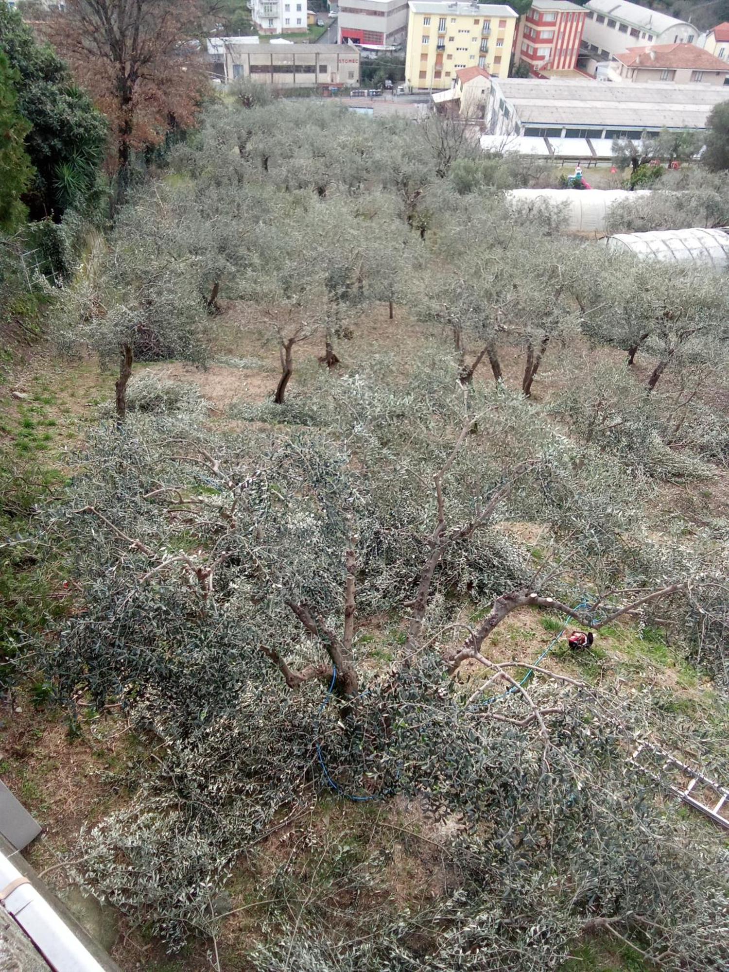 Agriturismo Cele Celle Ligure Extérieur photo