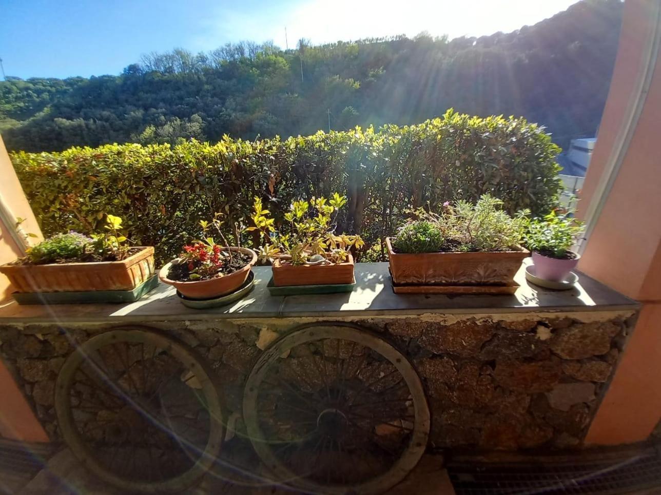 Agriturismo Cele Celle Ligure Extérieur photo