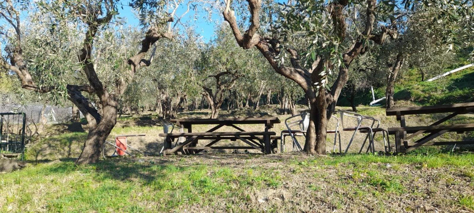 Agriturismo Cele Celle Ligure Extérieur photo