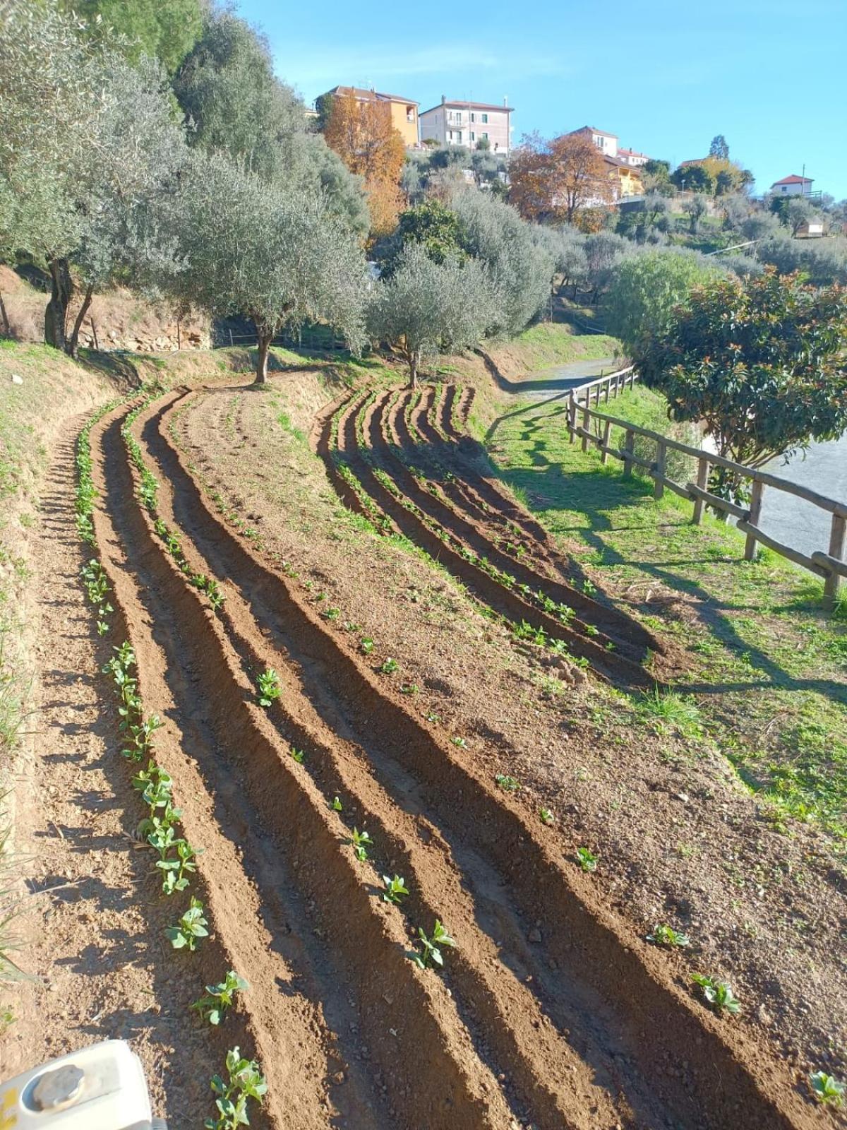 Agriturismo Cele Celle Ligure Extérieur photo